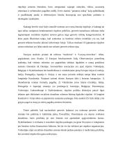 Socialinės rūpybos lyginamoji analizė 19 puslapis