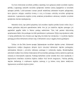 Socialinės rūpybos lyginamoji analizė 3 puslapis