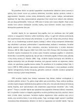 Socialinės rūpybos lyginamoji analizė 4 puslapis