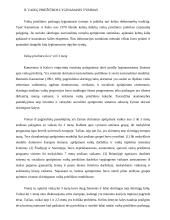 Socialinės rūpybos lyginamoji analizė 7 puslapis