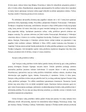 Socialinės rūpybos lyginamoji analizė 8 puslapis