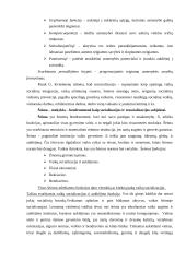 Socializacija ir resocializacija 2 puslapis