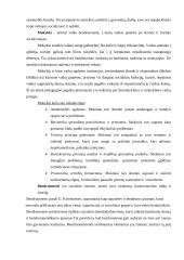 Socializacija ir resocializacija 3 puslapis