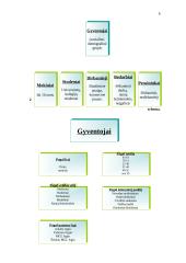 Sociologinio tyrimo programa: "Vilniečių pageidavimai ir poreikiai bankų teikiamoms paslaugoms" 6 puslapis