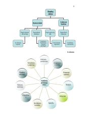 Sociologinio tyrimo programa: "Vilniečių pageidavimai ir poreikiai bankų teikiamoms paslaugoms" 8 puslapis