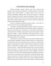 Grupės žmonių sociometrinis tyrimas 5 puslapis