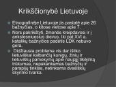 Vytauto Didžiojo vidaus politika 15 puslapis