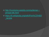 Vytauto Didžiojo vidaus politika 20 puslapis