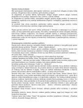 Sportas, jo funkcijos visuomenėje 2 puslapis