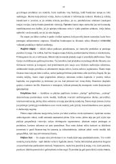 Startuolio vystymas 13 puslapis