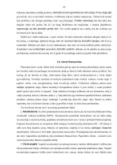 Startuolio vystymas 19 puslapis