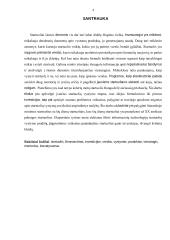 Startuolio vystymas 3 puslapis