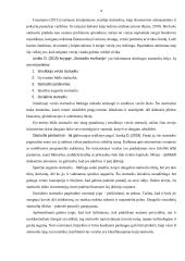 Startuolio vystymas 9 puslapis