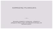 Karmazinų piliakalnis 2 puslapis