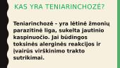 Kas yra teniarinchozė? 2 puslapis