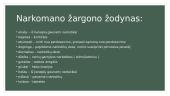 Žalingi įpročiai (skaidrės) 13 puslapis