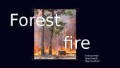 Forest fire