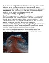 Žvaigždėdara arba žvaigždės gimimas 4 puslapis