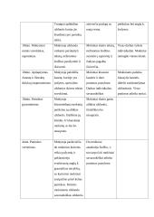 Anglų kalbos ugdomoji pamokos analizė 2 puslapis