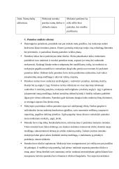 Anglų kalbos ugdomoji pamokos analizė 3 puslapis