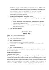 Anglų kalbos ugdomoji pamokos analizė 4 puslapis