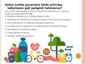 Procesai ląstelei senėjant  13 puslapis