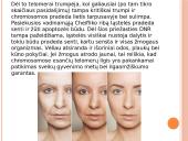 Procesai ląstelei senėjant  5 puslapis