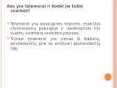 Procesai ląstelei senėjant  8 puslapis