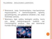 Procesai ląstelei senėjant  10 puslapis