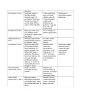 Biologijos ugdomoji pamokos analizė 4 puslapis