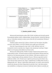 Ugdomoji pamokos analizė ir studentas — klasės auklėtojo pagalbininkas 3 puslapis