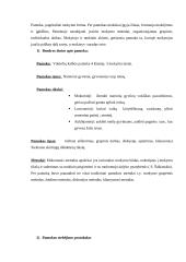 Ugdomoji pamokos analizė. Renginio planas 2 puslapis