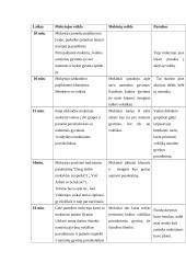 Ugdomoji pamokos analizė. Renginio planas 3 puslapis