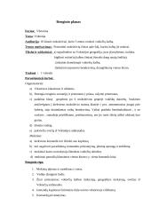 Ugdomoji pamokos analizė. Renginio planas 5 puslapis