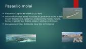 Molas. Kas tai?  7 puslapis