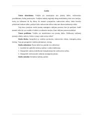 Vadybos pagrindai (referatas) 3 puslapis