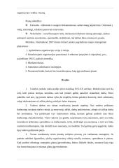 Vadybos pagrindai (referatas) 7 puslapis