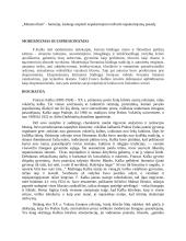 Referatas. Kafka. Metamorfozė 2 puslapis