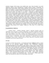 Referatas. Kafka. Metamorfozė 4 puslapis