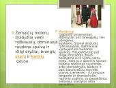 Skaidrės apie Žemaitiją 5 puslapis