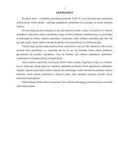 Vadybinių sprendimų priėmimas 2 puslapis