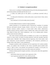 Vadybinių sprendimų priėmimas 11 puslapis