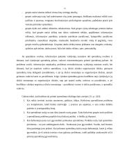 Vadybinių sprendimų priėmimas 13 puslapis