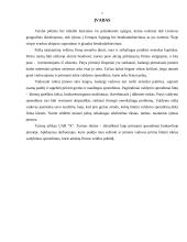 Vadybinių sprendimų priėmimas 4 puslapis