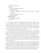 Vadybinių sprendimų priėmimas 10 puslapis