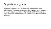 Bendrininkavimo samprata, formos ir jų pavyzdžiai teismų praktikoje 9 puslapis