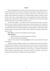 Valstybių stojimas į Europos Sąjungą (ES) - Lenkijos atvejis 2 puslapis