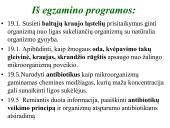 Organizmo apsauga nuo žalingo aplinkos poveikio. Antibiotikai 2 puslapis