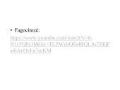 Organizmo apsauga nuo žalingo aplinkos poveikio. Antibiotikai 11 puslapis