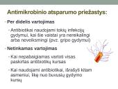 Organizmo apsauga nuo žalingo aplinkos poveikio. Antibiotikai 19 puslapis